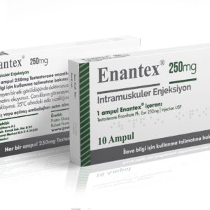 Proton Pharma (Test E) Enantex 10 x 250mg – 1ml ampules - Steroids Shop Uk | Buy Steroids Online| Best Steroids For Sale United Kingdom